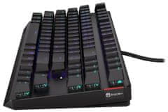 Endorfy gaming tipkovnica Thock TKL Kailh RD RGB /USB/ rdeča sw. / žična / mehanska / CZ/SK postavitev / črna RGB