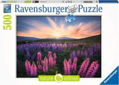 Ravensburger Wolf Beaver Puzzle 500 kosov