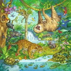 Ravensburger Jungle Animals Puzzle 3x49 kosov
