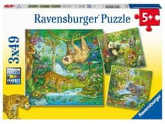 Ravensburger Jungle Animals Puzzle 3x49 kosov