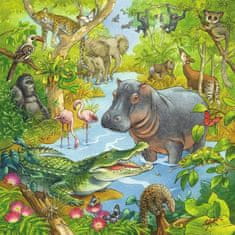 Ravensburger Jungle Animals Puzzle 3x49 kosov