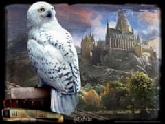 Prime 3D Puzzle Harry Potter: Hedwig 3D 500 kosov