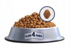 Club4Paws Premium "Indoor 4 in1 " suha hrana za odrasle mačke 14 kg