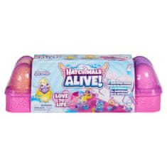 Hatchimals ŽIVALI V VODI KARTON