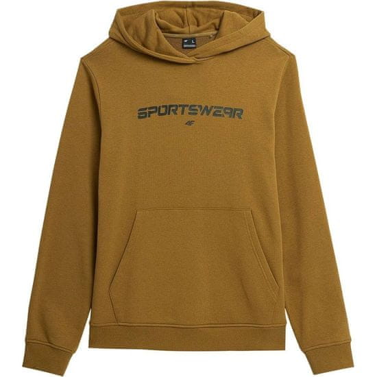 4F Športni pulover 4FAW23TSWSM077374S