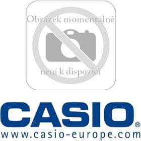 Casio DT 788 RSC (KABEL RS485)