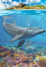 EuroGraphics EUROGRAFIJA Puzzle Rešimo naš planet: Delfini XL 250 kosov