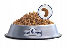 Club4Paws Premium suha hrana za mačke s piščancem 3x300 g