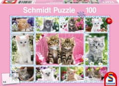 Schmidt Puzzle Kittens 100 kosov