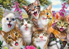 Schmidt Cat Selfie Puzzle 500 kosov