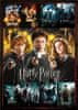 Puzzle Harry Potter: Filmski plakati 1000 kosov