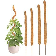 Northix Fleksibilna opora za rastline - 60 cm 