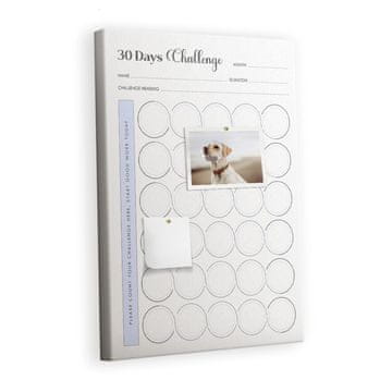 tulup.si Plošča iz plute Habk načrtovalec Barvne zatiči