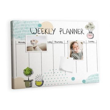 tulup.si Plošča iz plute Kaktus načrtovalec Kovinski zatiči