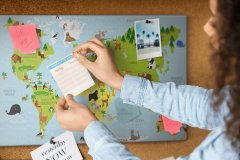 tulup.si Plošča iz plute Tradicionalne živali 60x40 cm Barvne zatiči