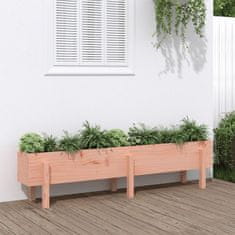 Vidaxl Vrtna visoka greda 160x30x38 cm trden les douglas