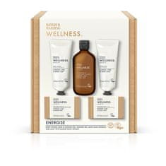 Baylis & Harding Darilni set ingver, limona & bazilika 5 kos