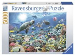 Ravensburger Življenje v koralnem grebenu Puzzle/5000 kosov