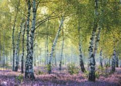 Ravensburger Brezov gozd Birkenwald Puzzle, Francija 1000 kosov