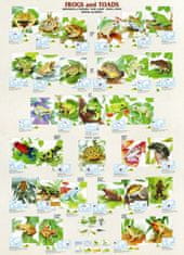 EuroGraphics Žabe in krastače Puzzle 1000 kosov