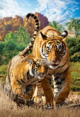 EuroGraphics EUROGRAFIJA Puzzle Rešimo naš planet: Tigri XL 250 kosov