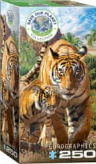 EuroGraphics EUROGRAFIJA Puzzle Rešimo naš planet: Tigri XL 250 kosov