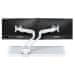 Neomounts FPMA-D750DWHITE2/Display Holder/Table/10-32"/clamp/VESA 100X100/nosilnost 2x8kg/plinski bat/2 zasloni/fiksni