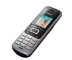 Gigaset SIEMENS Premium 100A GO IP