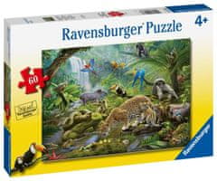 Ravensburger Puzzle - Občudovalci deževnega gozda 60 kosov