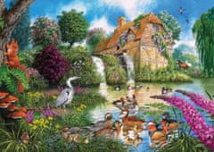 Gibsons Puzzle Flora & Fauna 4x500 kosov