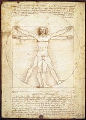 EuroGraphics Sestavljanka Vitruvian Man - proporci človeške figure 1000 kosov