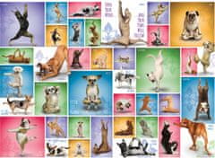 EuroGraphics Dog Yoga Puzzle 1000 kosov