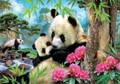 Educa Sestavljanka Panda z mladičem 1000 kosov