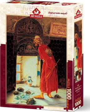 Art puzzle Puzzle Turtle Trainer 1000 kosov