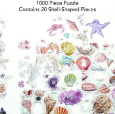 Galison Puzzle Zakladi plaže 1000 kosov