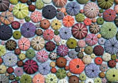 Piatnik Morski ježki Puzzle 1000 kosov