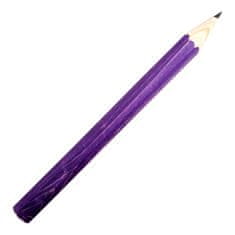 Velik svinčnik vijolična