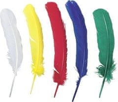 HEYDA Indijsko perje 50 kosov / 17-19 cm