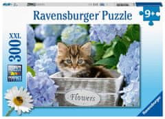 Ravensburger Sestavljanka Male mačke kosi/300 kosov