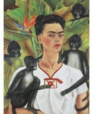 Piatnik Puzzle Frida Kahlo 1000 kosov