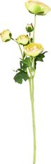 ART Ranunculus 5 glav, zelene barve. Umetno cvetje. SF1191 Umetnost