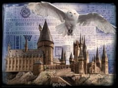 Prime 3D Harry Potter 3D sestavljanka - Bradavičarke in Hedviga 300 kosov