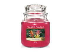 Yankee Candle Sveča Tropska džungla 411g