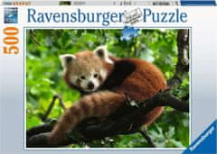 Ravensburger Rdeča panda Puzzle 500 kosov