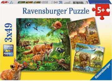 Ravensburger Puzzle Živali 3x49 kosov