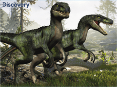 Prime 3D Puzzle Discovery: velociraptorji 3D 100 kosov