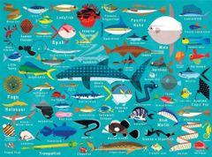 Chronicle Books GALISON Puzzle Življenje v oceanu 1000 kosov