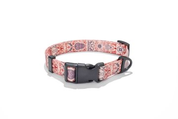 Ovratnica EXPLORER DOG Heart L - 41-66x2,5 cm