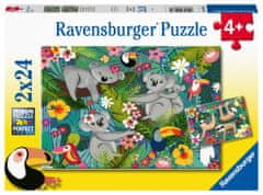 Ravensburger Puzzle - Koale in lenivci 2x24 kosov