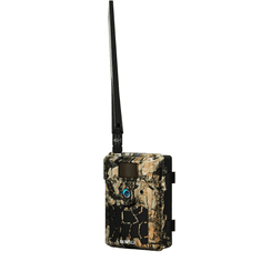 Bentech TC08 4G LTE lovska kamera